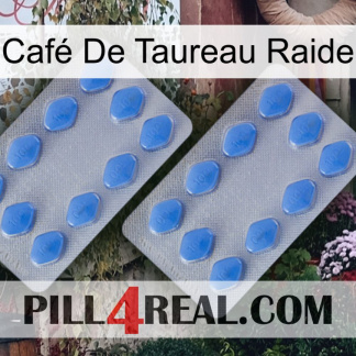 Café De Taureau Raide 20